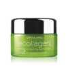 Ecollagen Wrinkle Correcting Night Cream by oriflame for urbanmadam