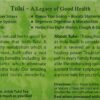 Tulsi Green Tea by Organic India (25 Tea Bags per Pack ) - Image 3
