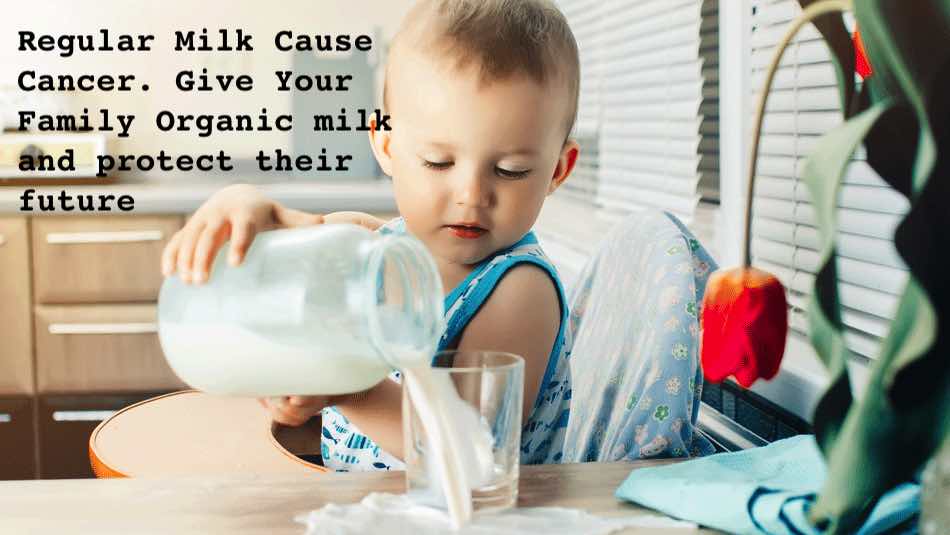 Organic Milk In Delhi